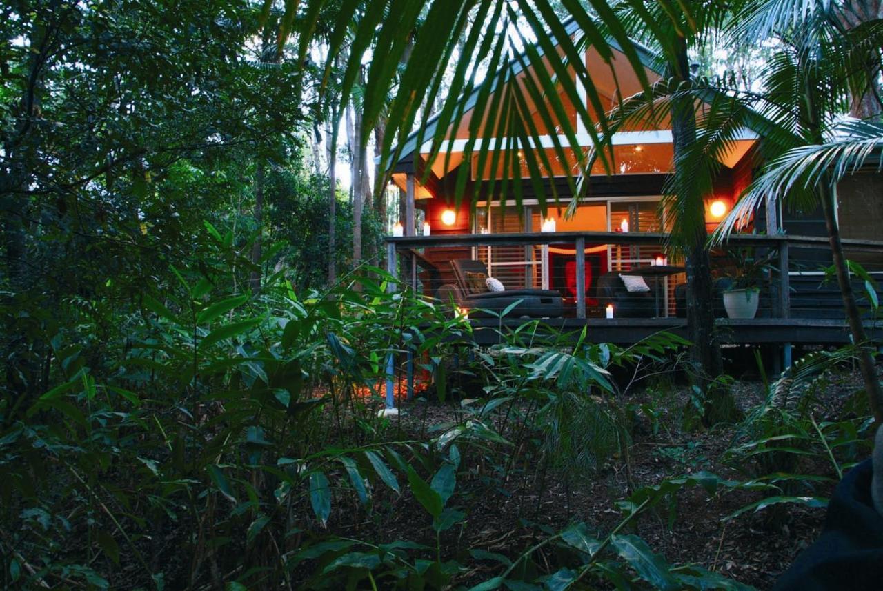 Songbirds Rainforest Retreat Mount Tamborine Exterior photo