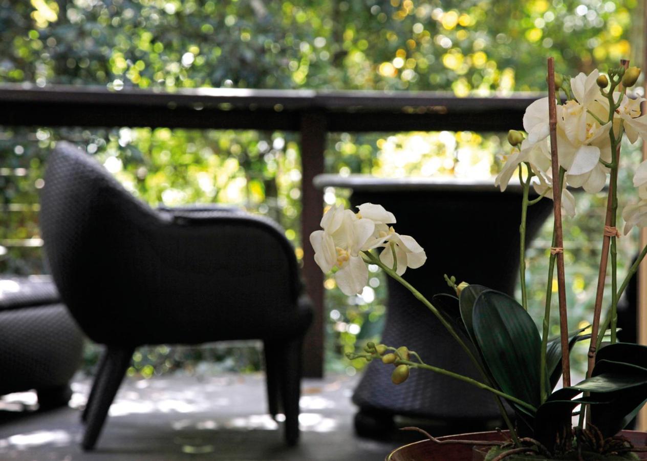Songbirds Rainforest Retreat Mount Tamborine Exterior photo