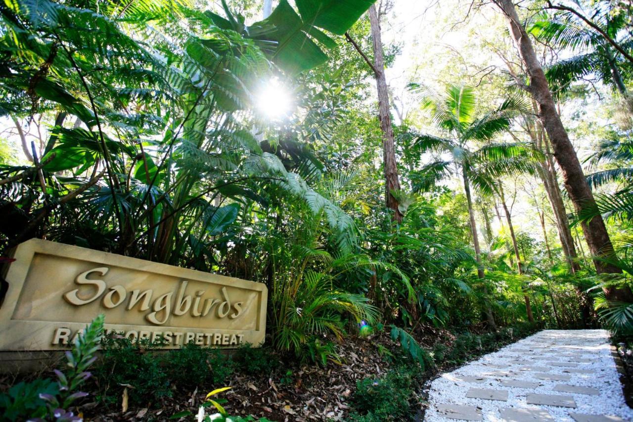 Songbirds Rainforest Retreat Mount Tamborine Exterior photo