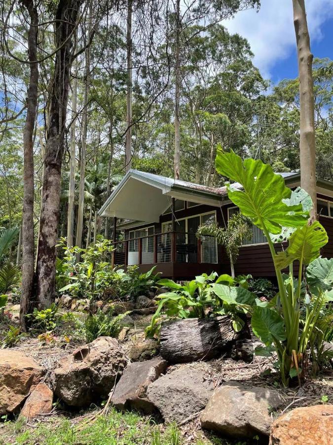 Songbirds Rainforest Retreat Mount Tamborine Exterior photo