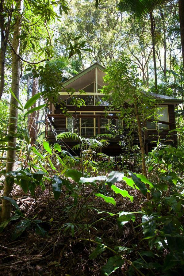 Songbirds Rainforest Retreat Mount Tamborine Exterior photo