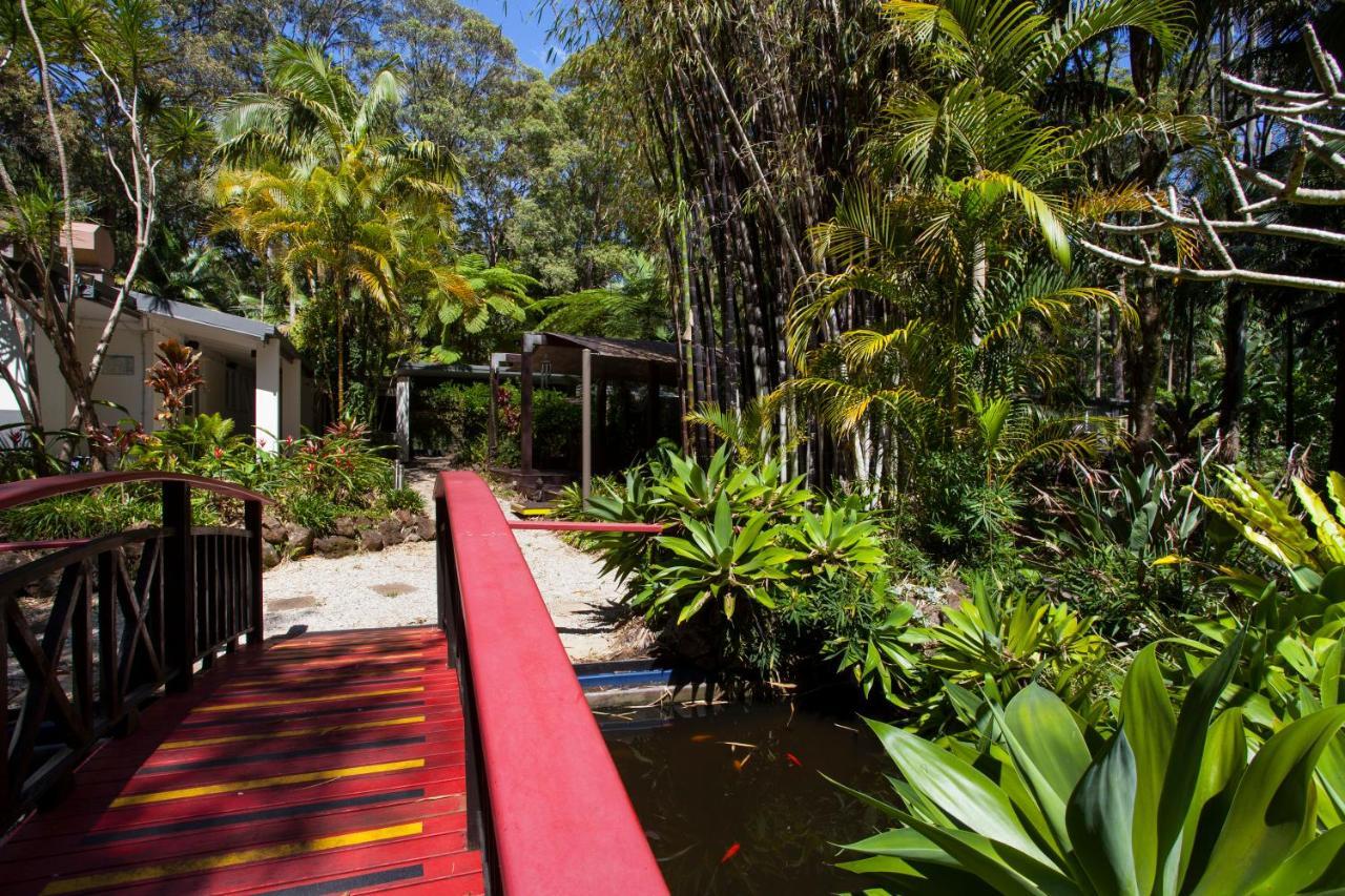 Songbirds Rainforest Retreat Mount Tamborine Exterior photo