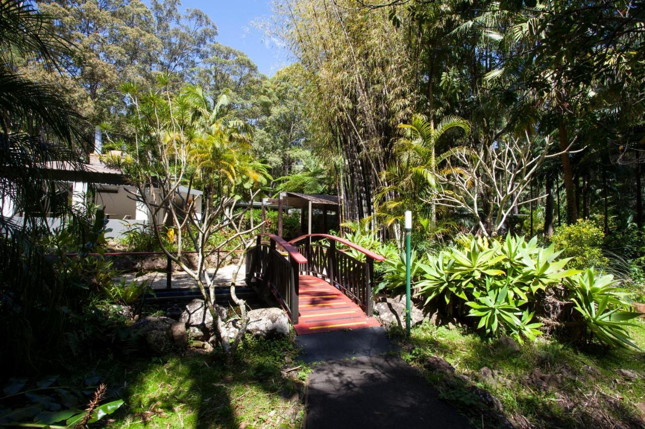 Songbirds Rainforest Retreat Mount Tamborine Exterior photo