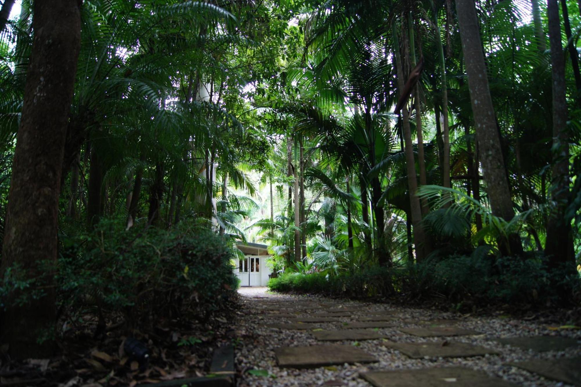 Songbirds Rainforest Retreat Mount Tamborine Exterior photo